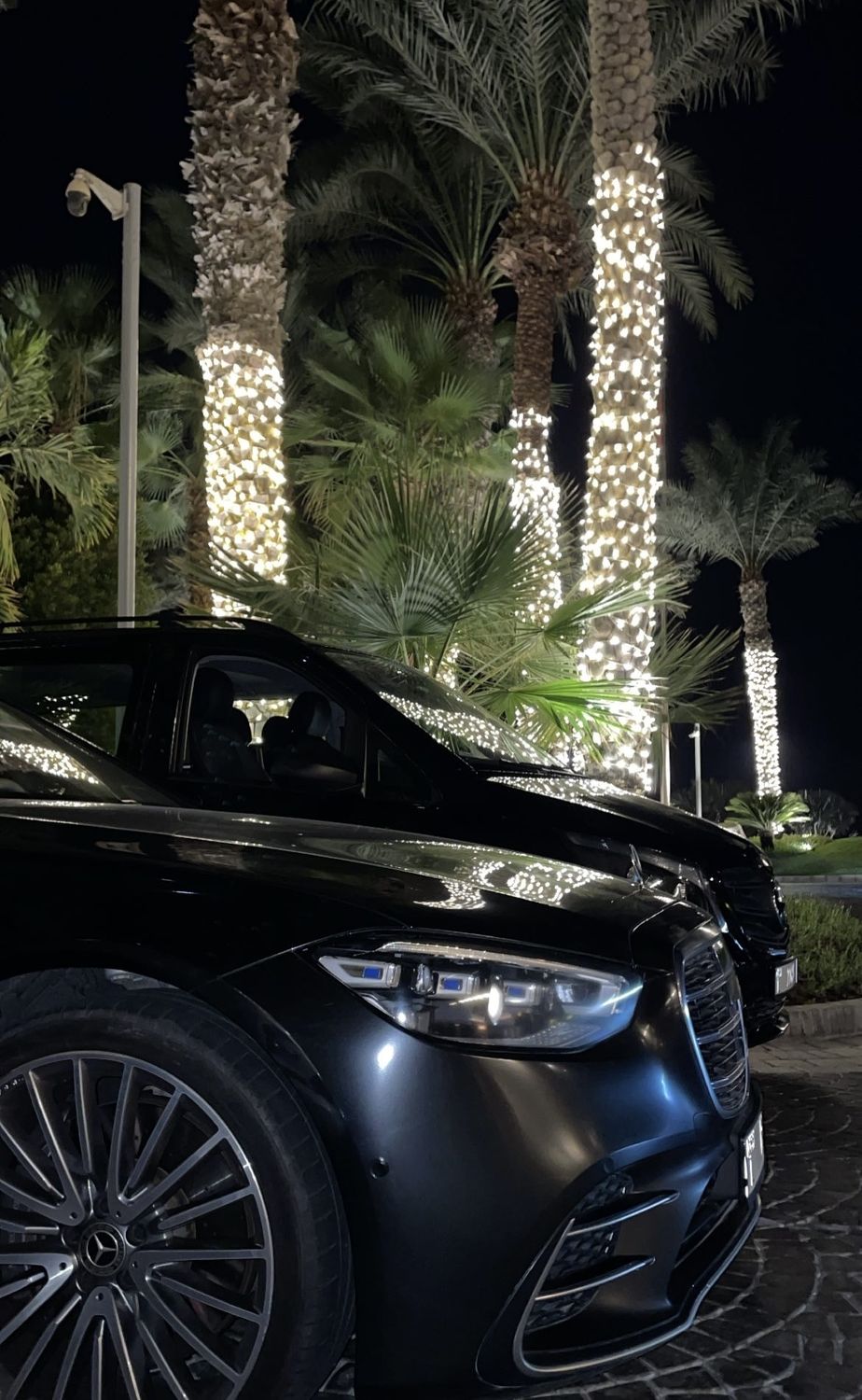 Chauffeured black car among lit palm trees at night